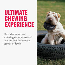Kong tires small petit dog toy power chewers