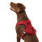 KONG Ultra Durable Waste Bag Dog Harness - Small - Red - dog harness - 737257980433