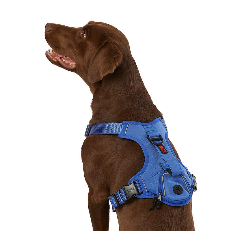 KONG Ultra Durable Waste Bag Harness - Medium - Blue - dog harness - 737257980518