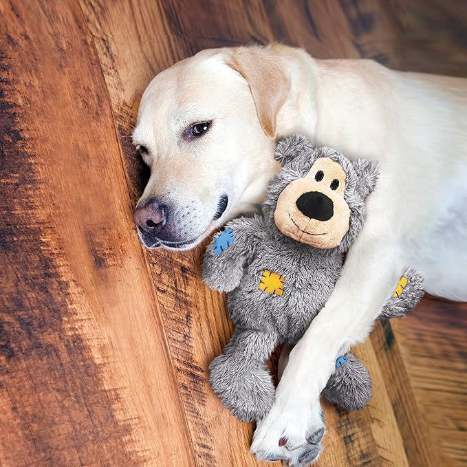Kong wild knots XS bear dog toy