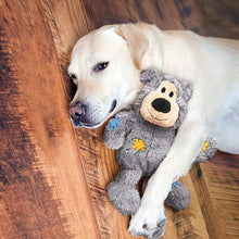 Kong wild knots XS bear dog toy