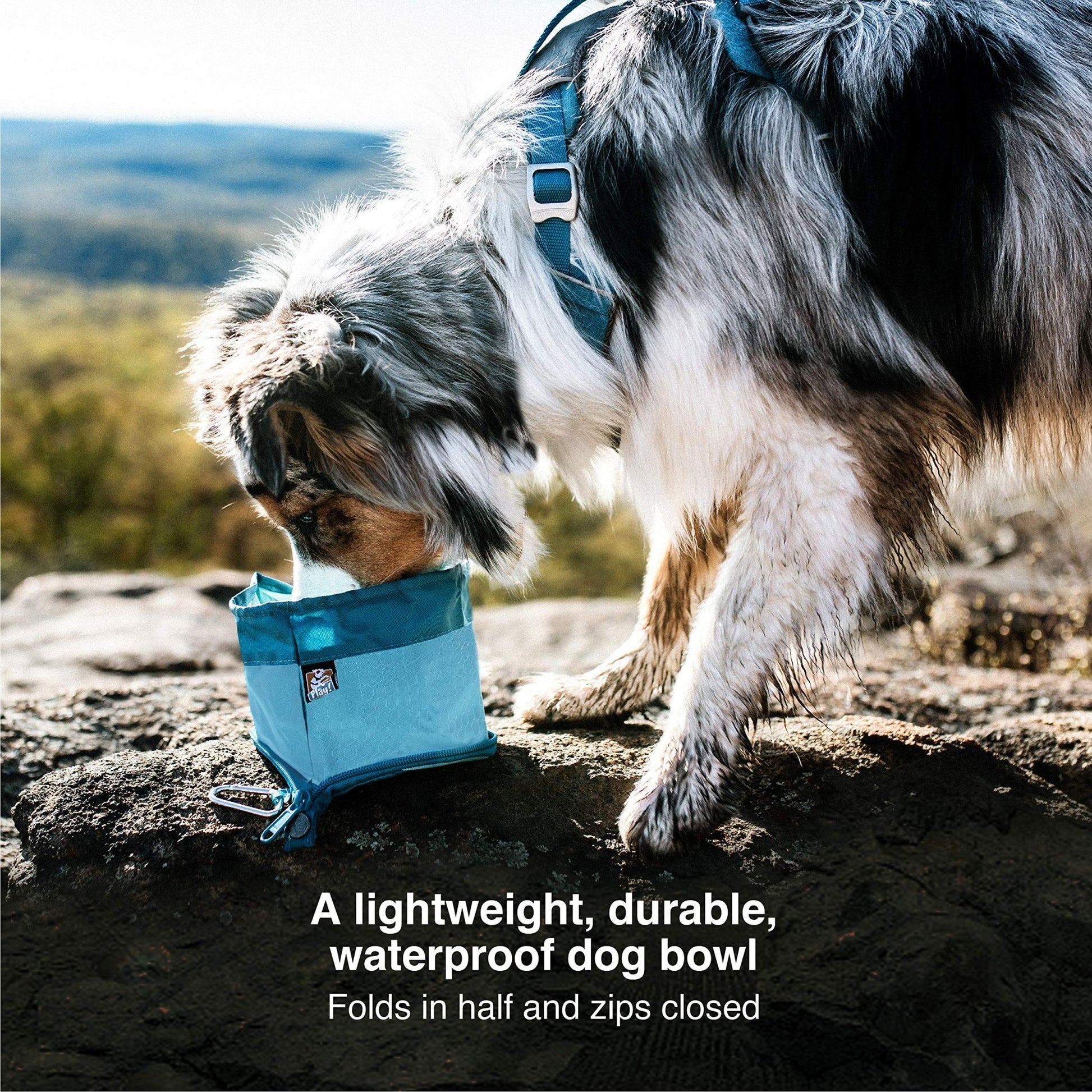 Kurgo Zippy Bowl, Collapsible Travel Dog Bowl, Pet Food & Hiking Water Bowl, Machine Washable Bowl For Dogs, Travel Accessories For Pets, Bpa Free, Carabiner ,Blue
