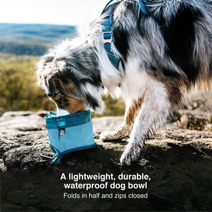 Kurgo Zippy Bowl, Collapsible Travel Dog Bowl, Pet Food & Hiking Water Bowl, Machine Washable Bowl For Dogs, Travel Accessories For Pets, Bpa Free, Carabiner ,Blue