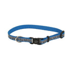 Lazer Brite Reflective Adjustable Dog Collar - Turquoise - 8 - 12 - dog collar - 076484463303