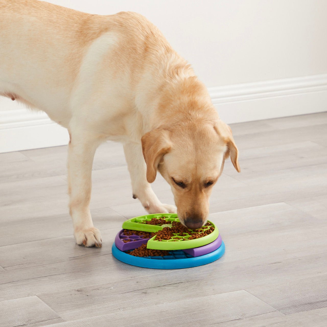 Lickin layers outward hound food bowl spinning