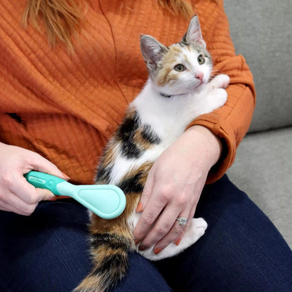 Li'l Pals Kitten Bristle Brush For Pets