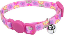 lil pals safety collar one size kitten collar