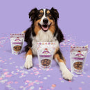 Lord Jameson Celebration Bash Organic Dog Treats, Organic Dog Treats Made with Peanut Butter, A Great Treat for Any Canine Celebrations, 6 oz. Bag - 608614667024