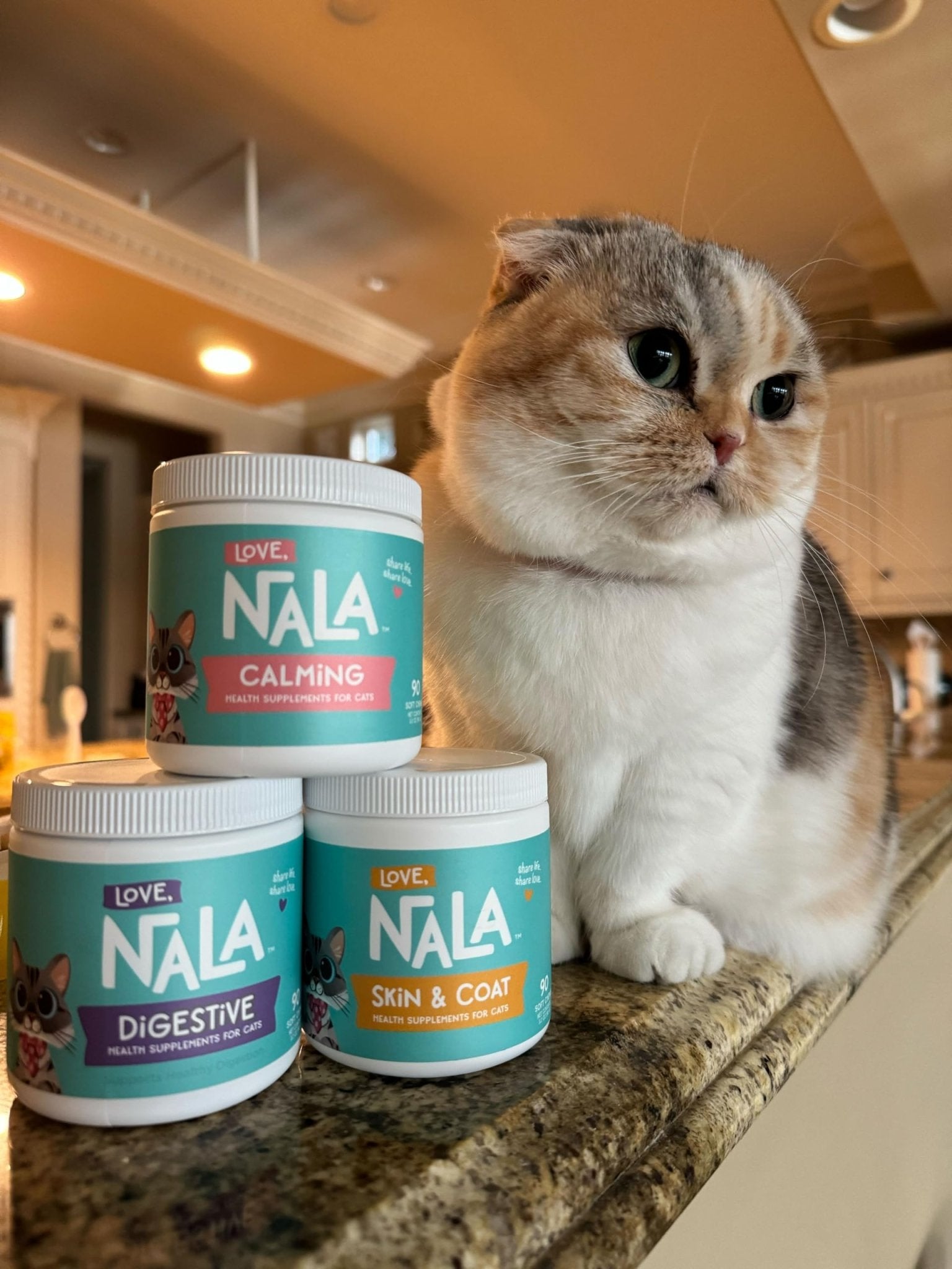 Love, Nala - Digestive Health Supplement For Cats - 90 Soft Chews - Digestive Enzymes - Helps Support Digestive System, Diet Changes, & Food Transitioning - 3.2 Oz