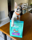 LOVE Nala Turkey & Chicken Air Dried Cat Food - Complete & Balanced Cat Food for All Life Stages - 1 Bag - 1 lb - dry cat food - 810113200545