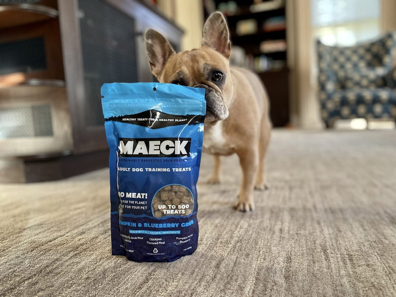 MAECK Insect Grub Protein Dog Training Treats, 1 Pound, All Natural, Gluten Free, Sustainable - Peanut Butter - 667619652992