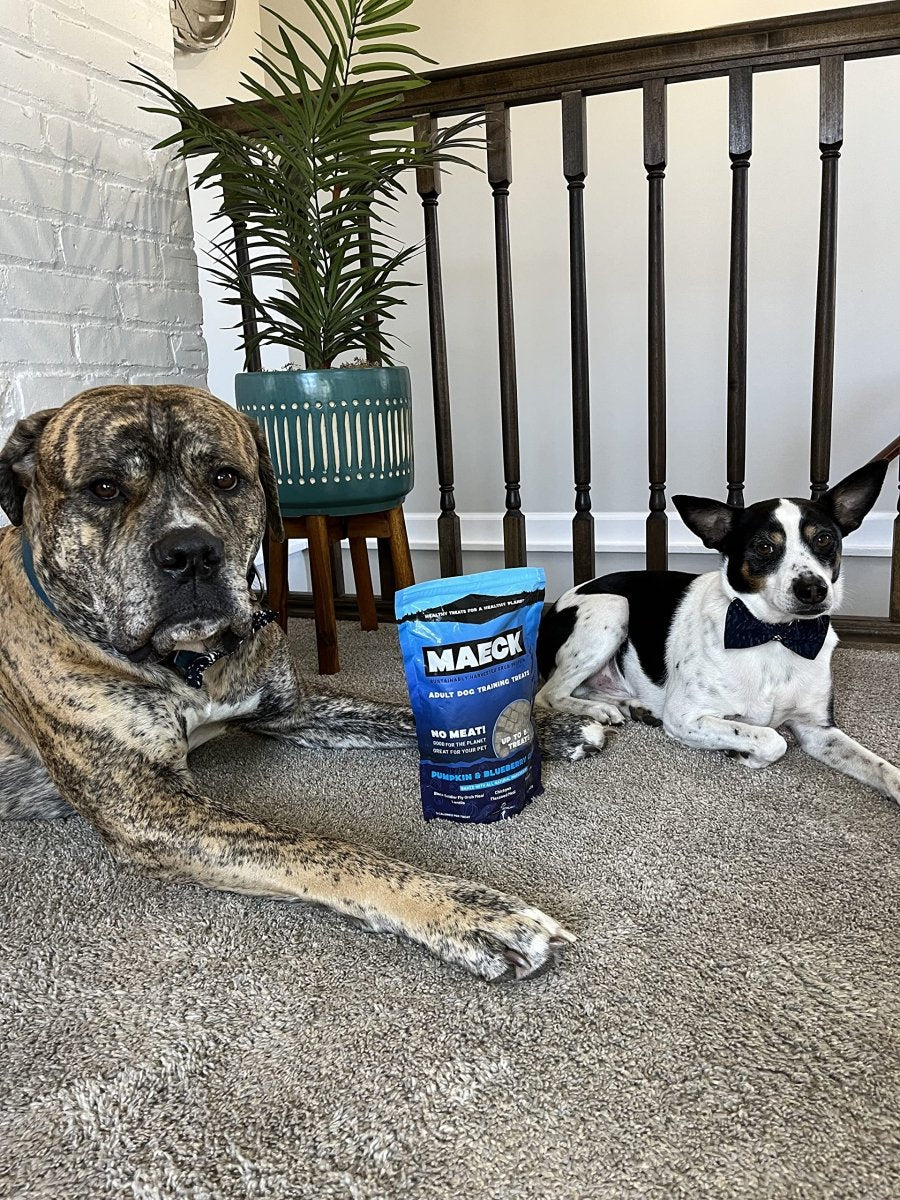 MAECK Insect Grub Protein Dog Training Treats, 1 Pound, All Natural, Sustainable, Gluten Free - Pumpkin & Blueberry - 667619653005