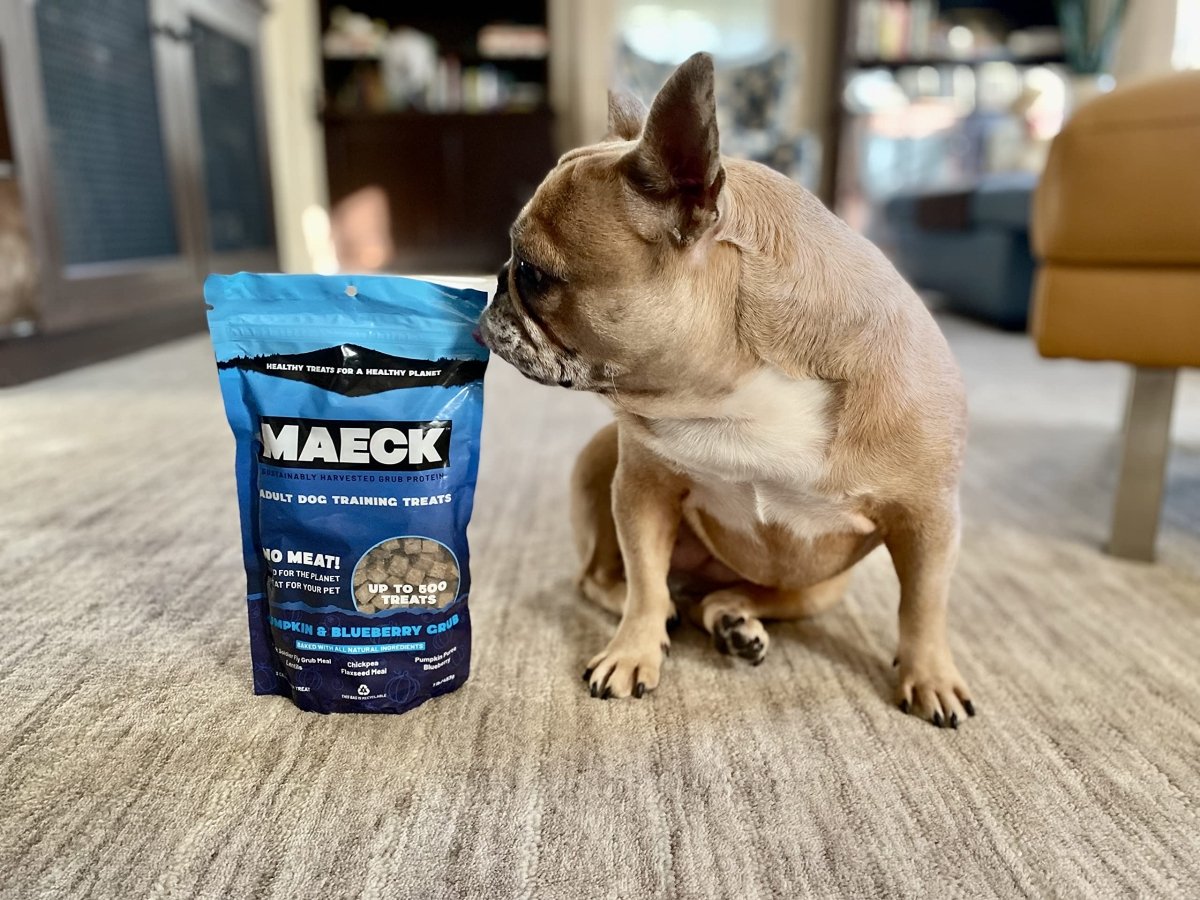 MAECK Insect Grub Protein Dog Training Treats, 1 Pound, All Natural, Sustainable, Gluten Free - Pumpkin & Blueberry - 667619653005