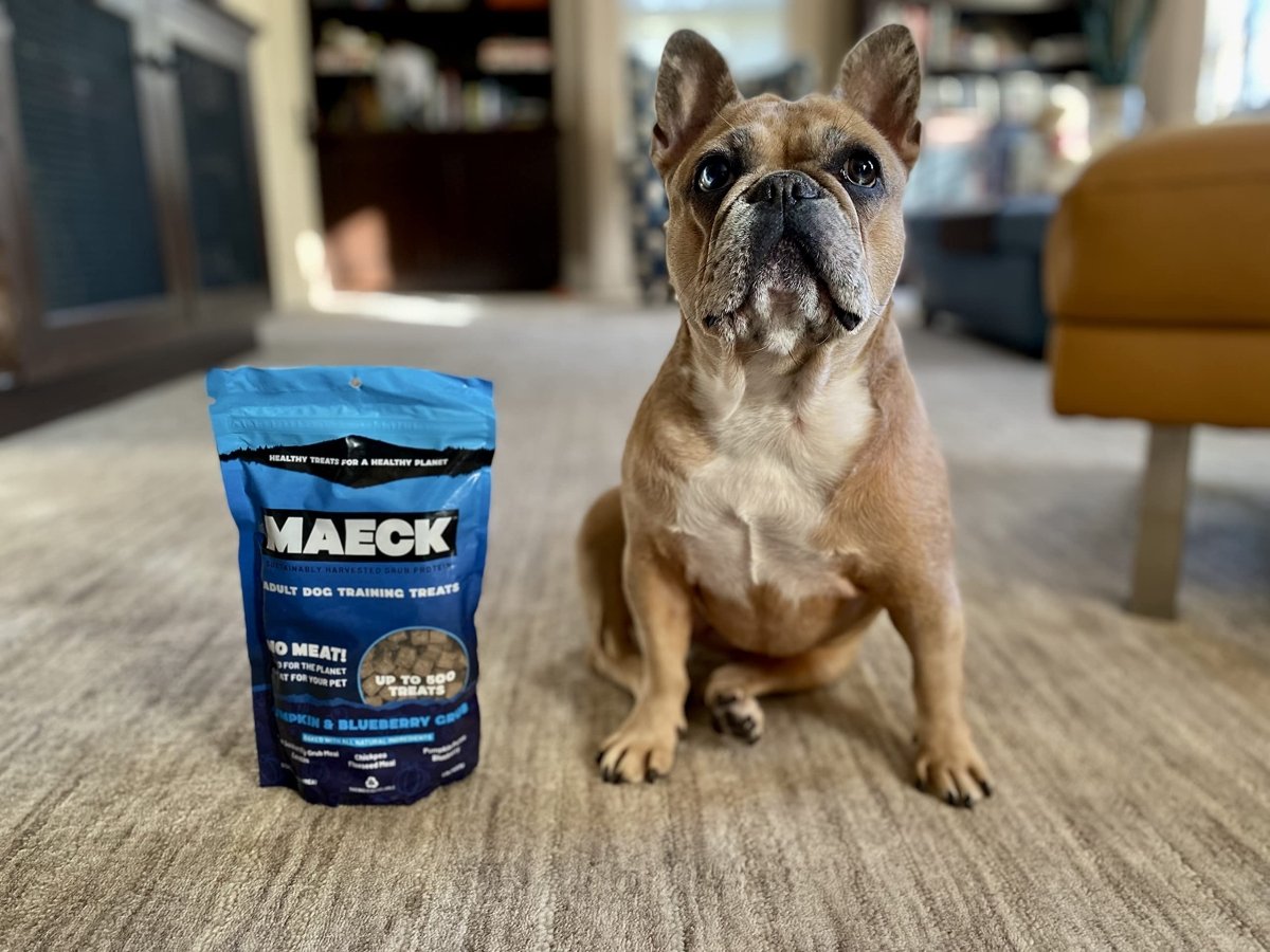 MAECK Insect Grub Protein Dog Training Treats, 1 Pound, All Natural, Sustainable, Gluten Free - Pumpkin & Blueberry - 667619653005