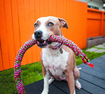 Mammoth snake biter dog toy small 26” tug dog toy