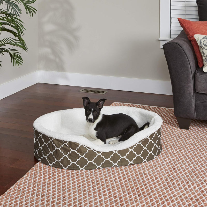 MidWest Homes for Pets Orthoperdic Egg - Crate Nesting Pet Bed For Medium Dogs - Fabric Protector - Large Brown - 027773021186