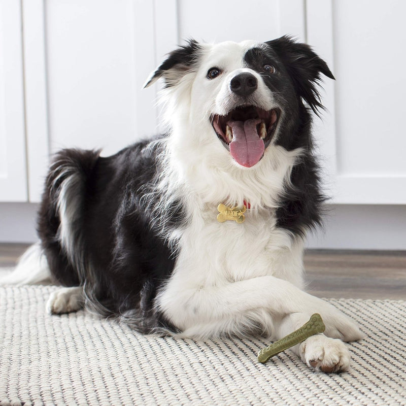 Milk - Bone Fresh Breath Brushing Chews, 38 Small/Medium Daily Dental Dog Treats - 079100882540