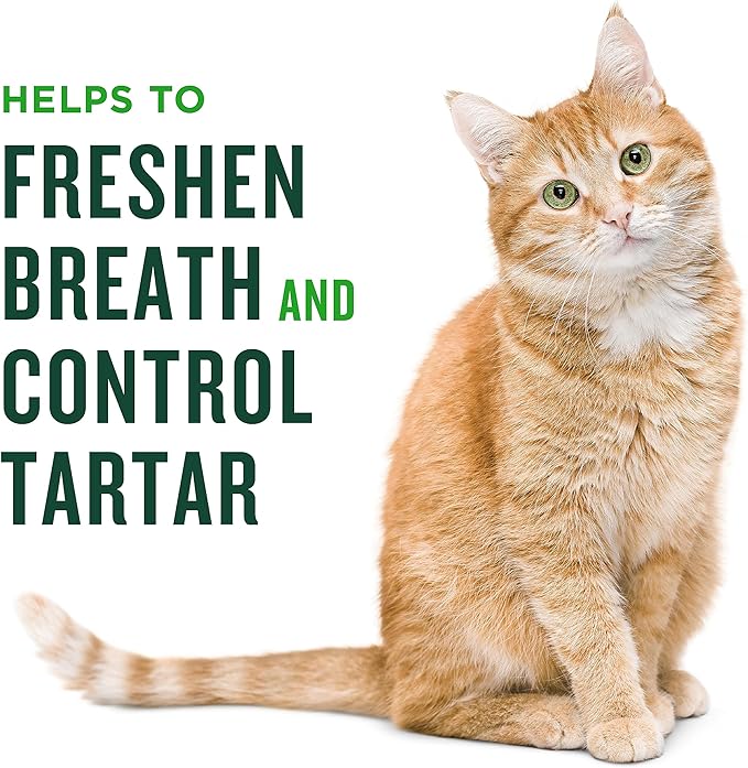 Minties dental treats for cats 2.5 oz chicken flavor