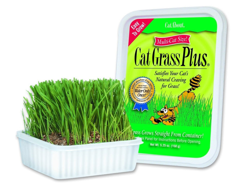 Miracle Care Cat Grass For Indoor Cats - Cat Grass Growing Kit Includes Potting Mix - Seeds - and Container - Multi - Cat S - 5.25 oz. - Grass Kit - 073101746702