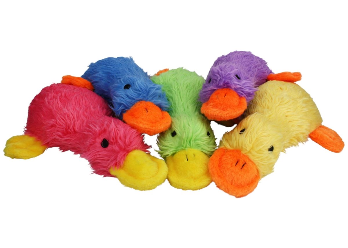 MULTIPET Duckworth Plush Filled Dog Toy, Assorted Colors, (Pack of 1) - 784369377019