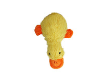 MULTIPET Duckworth Plush Filled Dog Toy, Assorted Colors, (Pack of 1) - 784369377019