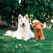 Multipet highland cow dog toy