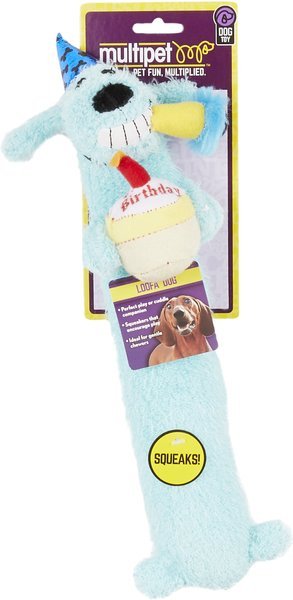 Multipet loofa dog birthday loofa small dog toy