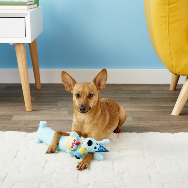 Multipet loofa dog birthday loofa small dog toy