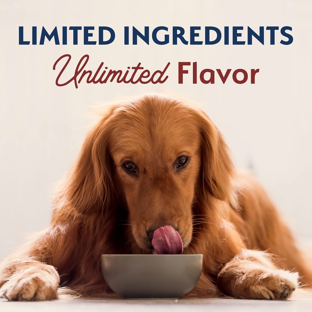 Natural Balance Limited Ingredient Adult Dry Dog Food with Healthy Grains, Beef & Brown Rice Recipe, 12 Pound - 723633689267