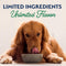 Natural Balance Limited Ingredient Adult Wet Canned Dog Food with Healthy Grains, Lamb & Brown Rice Recipe, 13 Ounce - 723633071130