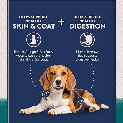 Natural balance limited ingredient chicken & brown rice recipe dry dog food 4lb kibble