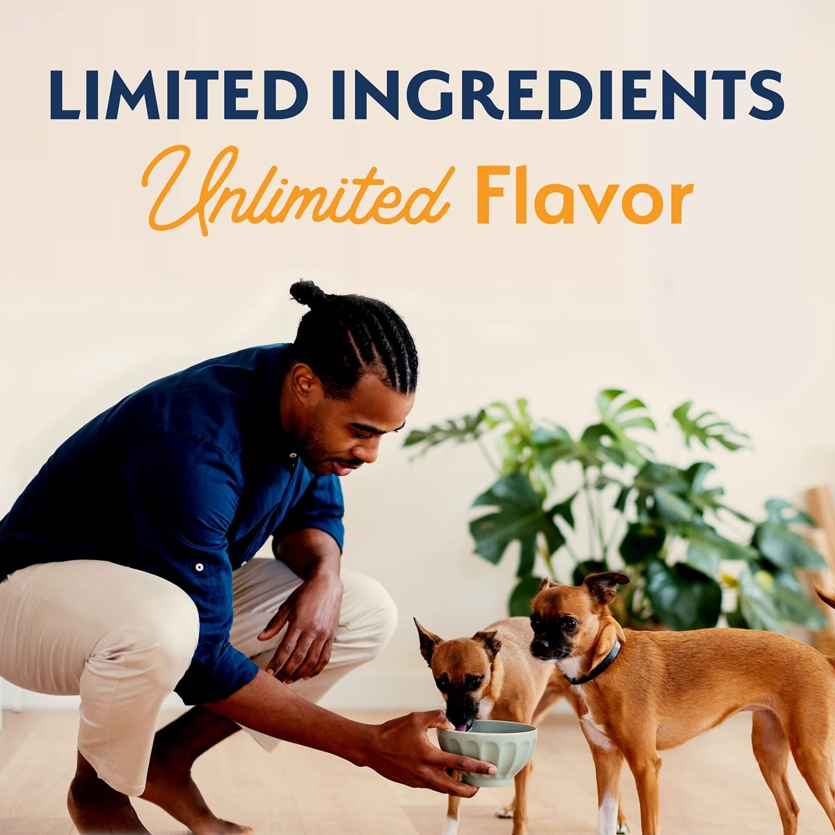 Natural Balance Limited Ingredient Small - Breed Adult Grain - Free Dry Dog Food, Reserve Duck & Potato Recipe, 4 Pound - 723633777780
