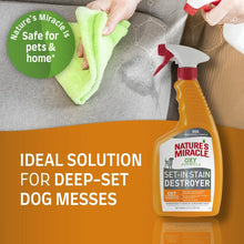 Nature's Miracle Dog Oxy Set - in Stain Destoyer - 24 Oz - Remover - 018065981721