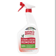 Nature's Miracle Stain and Odor Remover Melon Burst Scented Spray