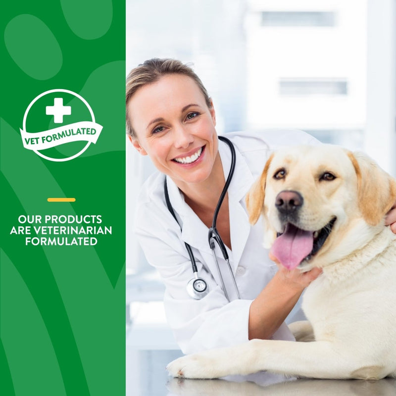 NaturVet Advanced Probiotics and Enzymes Supplement - Plus Vet Strength PB6 Probiotic - Soft Chews - Made in The USA with Globally Source Ingredients - 70 Chews - dog supplement - 797801037020