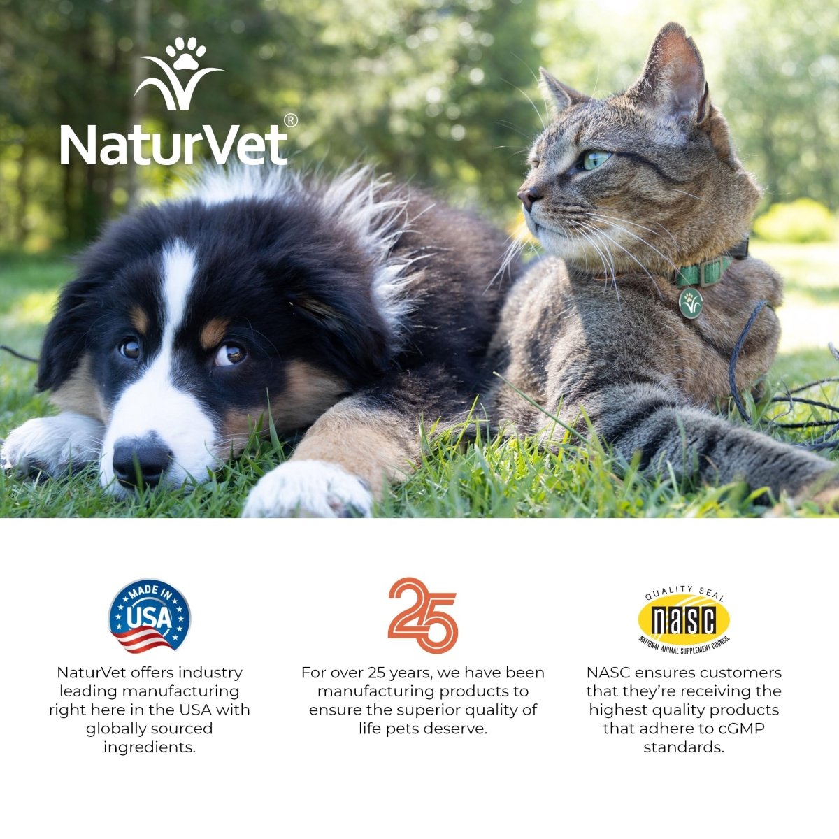 NaturVet All - in - One Dog Supplement for Joint Support - Digestion – Dog Multivitamins with Minerals - Omega - 3, 6, 9 – Wheat - Free Vitamins for Dogs – 13 - Ounce - dog supplement - 797801040044