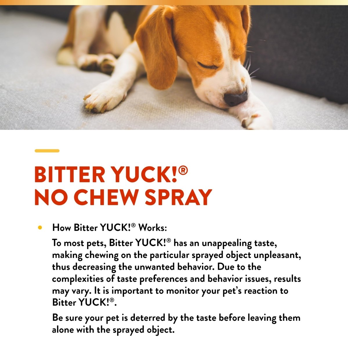 NaturVet Bitter Yuck! No Chew Spray for Dogs, Cats, and Horses Pet Training Spray, Liquid, Made in The USA, 8 Ounce - 797801090001