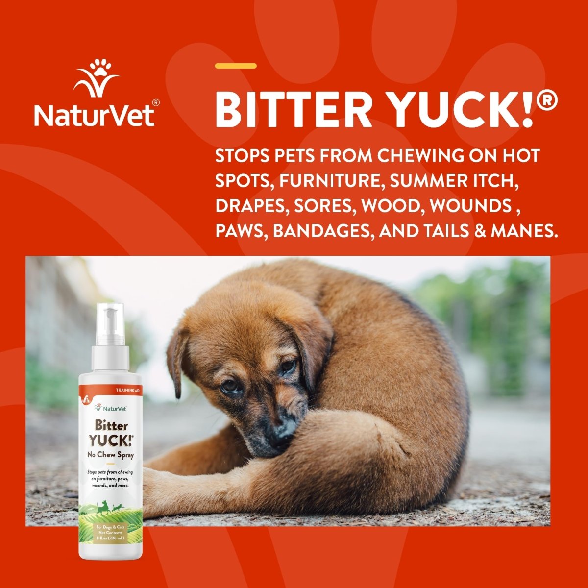 NaturVet Bitter Yuck! No Chew Spray for Dogs, Cats, and Horses Pet Training Spray, Liquid, Made in The USA, 8 Ounce - 797801090001