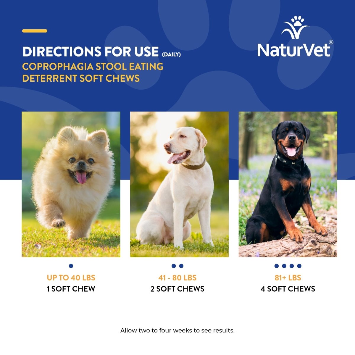 NaturVet Coprophagia Stool Eating Deterrent Plus Breath Aid – Deters Dogs from Consuming Stool – Enhanced with Breath Freshener - Enzymes & Probiotics – 70 Soft Chews - dog supplement - 797801036986