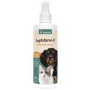 NaturVet Green Tree Septiderm - V Skin Care Lotion for Dogs & Cats - Dog Skin Allergies - Itching - Hot Spots - Cat Rashes - Pet Grooming Aid – 8 Oz - lotion - 027795220017