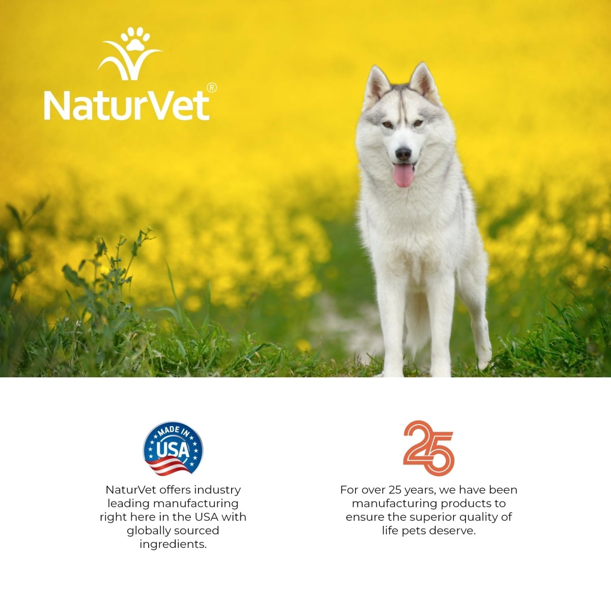 NaturVet Hemp Deodorizing Shampoo for Dogs - Plus Oatmeal & Honey – Gently Cleanses & Deodorizes Skin & Coat - Coconut Oil & Aloe Vera Extract - 16 oz - dog shampoo - 797801059442