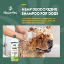 NaturVet Hemp Deodorizing Shampoo for Dogs - Plus Oatmeal & Honey – Gently Cleanses & Deodorizes Skin & Coat - Coconut Oil & Aloe Vera Extract - 16 oz - dog shampoo - 797801059442