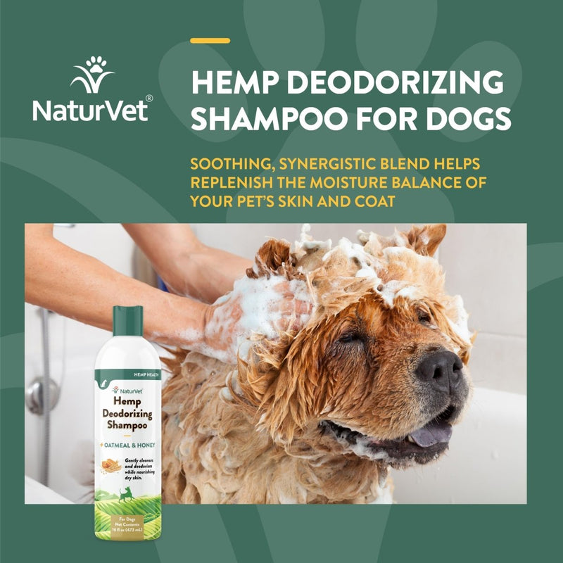 NaturVet Hemp Deodorizing Shampoo for Dogs - Plus Oatmeal & Honey – Gently Cleanses & Deodorizes Skin & Coat - Coconut Oil & Aloe Vera Extract - 16 oz - dog shampoo - 797801059442