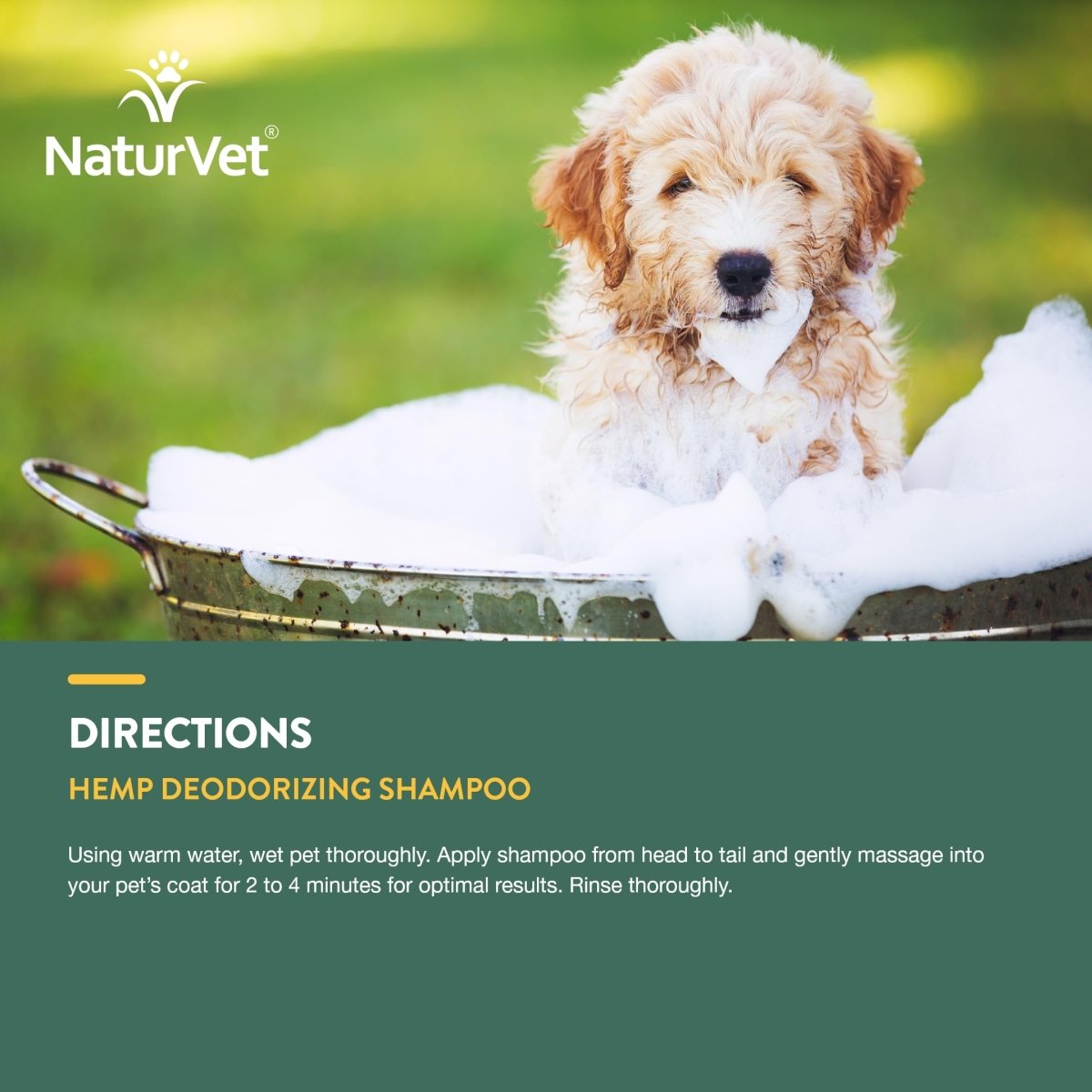 NaturVet Hemp Deodorizing Shampoo for Dogs - Plus Oatmeal & Honey – Gently Cleanses & Deodorizes Skin & Coat - Coconut Oil & Aloe Vera Extract - 16 oz - dog shampoo - 797801059442