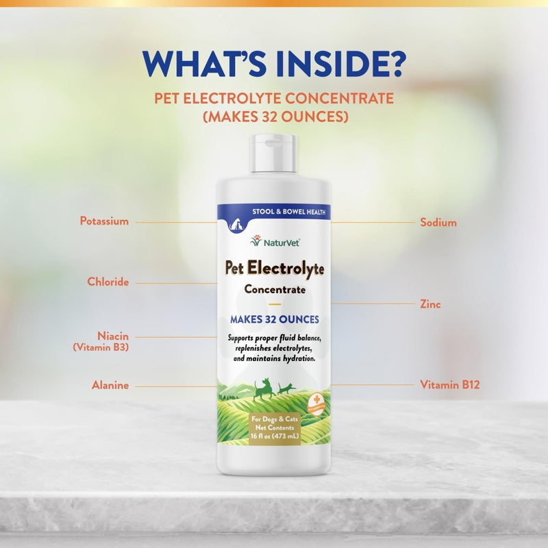 NaturVet Pet Electrolyte Concentrate for Dogs and Cats - 16 oz Liquid Concentrate - Made in The USA with Globally Source Ingredients - dog supplement - 797801070027