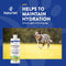 NaturVet Pet Electrolyte Concentrate for Dogs and Cats - 16 oz Liquid Concentrate - Made in The USA with Globally Source Ingredients - dog supplement - 797801070027