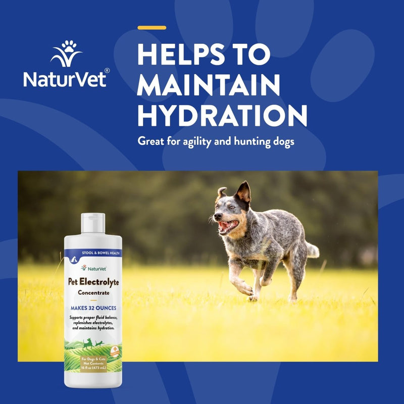 NaturVet Pet Electrolyte Concentrate for Dogs and Cats - 16 oz Liquid Concentrate - Made in The USA with Globally Source Ingredients - dog supplement - 797801070027