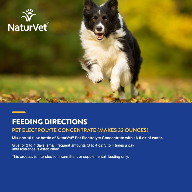 NaturVet Pet Electrolyte Concentrate for Dogs and Cats - 16 oz Liquid Concentrate - Made in The USA with Globally Source Ingredients - dog supplement - 797801070027