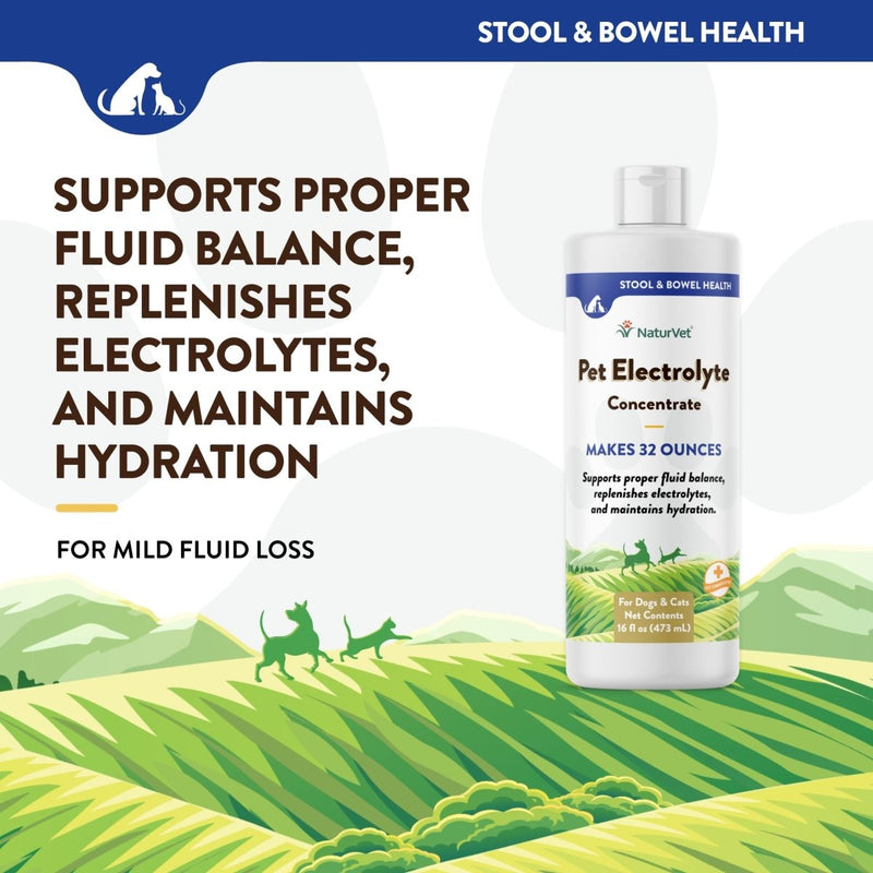 NaturVet Pet Electrolyte Concentrate for Dogs and Cats - 16 oz Liquid Concentrate - Made in The USA with Globally Source Ingredients - dog supplement - 797801070027