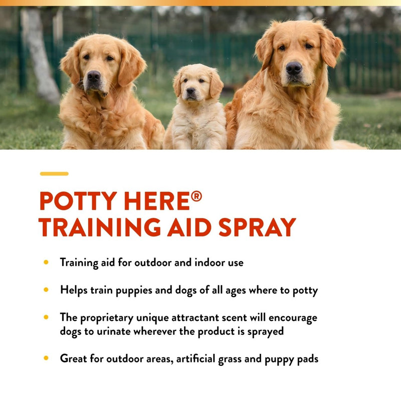 NaturVet – Potty Here Training Aid Spray | Attractive Scent Helps Train Puppies & Dogs Where to Potty | Formulated for Indoor & Outdoor Use | 8 oz